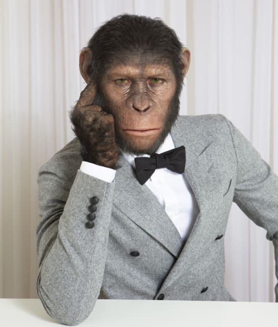 Chimp Chic “Planet of the Apes” Ringleader Caesar Models High-End Menswear